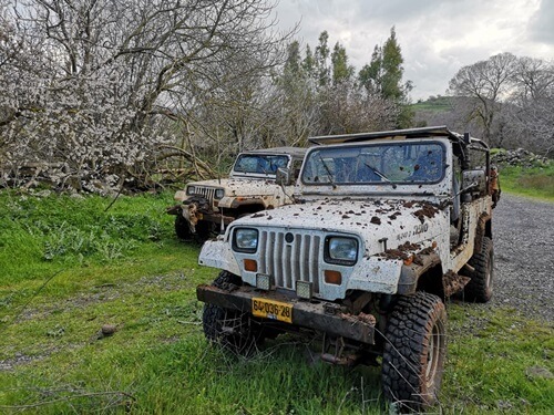 רני טריפ ג'יפ